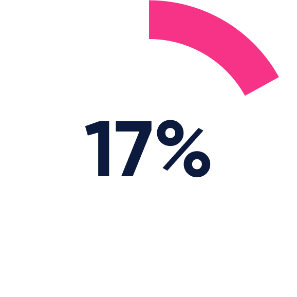 A pie chart showing 17% usage